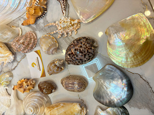 Vietnam Mother of Pearl Plate Handmade Natural Shell Material for Jewelry Tray Table Decor Polished Use - Product Image 4