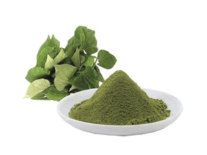 NATURAL VIETNAM Fish Mint Powder/Houttuynia Cordata Powder 100g Stand Up Pouch for Smoothies Drinks Soups and Daily Nutrition - Product Image 1