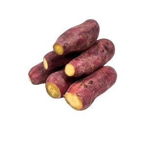 FROZEN COOKED SWEET POTATO FROM VIETNAM PURPLE VARIETY CLEAN AND HEALTHY - Product Image 1
