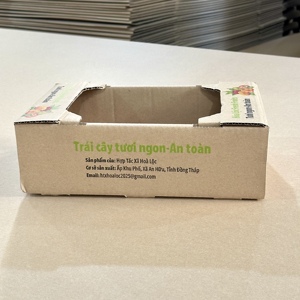 Caja de Cartón Corrugado Ecológica y Resistente para Empaque de Mango Fresco, con Orificios de Ventilación, Reciclable - Product Image 4