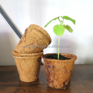 Eco2go Vietnam Wholesale Eco-Friendly Coir Flower Pots Biodegradable Planters for <b>Garden</b> Use Circular Design Not Coated - Product Image 3