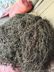 Hojas de Mesona Secas Baratas, Hojas de Hierba Negra Natural para Bebidas Herbales, Postres Refrescantes y Producción de Gelatina - Product Image 6