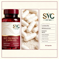 Capsules Énergétiques Probiotiques Haute Puissance OEM Vitalité 10-en-1 Soutien Digestif Adulte Marque Privée Vente en Gros en Vrac