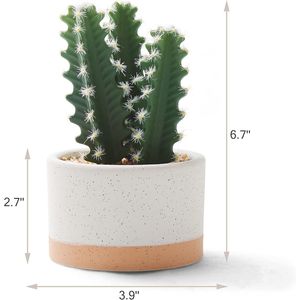Piante Succulente Finte Assortite in Vasi di Ceramica, Cactus Artificiali per Arredamento Casa, Camera da Letto, Ufficio, Scrivania, Collezione di Piante Artificiali - Product Image 6