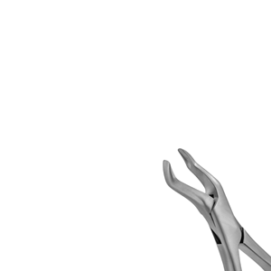 Pince à Dents Équine Professionnelle de Qualité Supérieure, Durable, Antirouille, Forceps Chirurgical Manuel pour Chevaux, Toutes Tailles, par Grip Surgical - Product Image 6