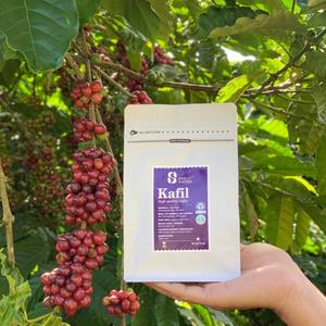 เอสเปรสโซ่คั่ว & เมล็ดกาแฟชงเย็นบรรจุในถุงสำหรับร้านกาแฟเกาหลีและยุโรป