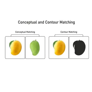 Livre d'apprentissage en carton pour l'association d'images avec cartes de fruits pour les tout-petits et les enfants d'âge préscolaire - Activité de perception visuelle, taille 23 cm - Product Image 4