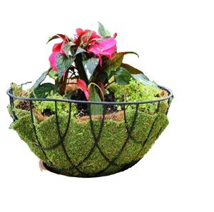 Planteur suspendu en fil de fer Sphère de jardin suspendue - Product Image 2