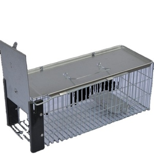 Cage de piège de capture vivante de <span class=keywords><strong>rat</strong></span> en métal sans cruauté Cage de <span class=keywords><strong>chien</strong></span> de raton laveur de lapin Cage de piégeage d'animaux de renard - Product Image 2