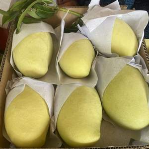 Vietnam Wholesale Darlac Farms Frozen Mango IQF <b>Sliced</b> Bulk Vacuum Pack Private Label OEM Fruit Supplier HACCP/ISO - Product Image 4