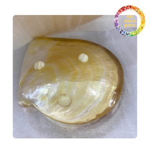 Handmade Mother of Pearl Plate Polished Shell Plate for Luxury Home Decoration and Gift - Product Image 3