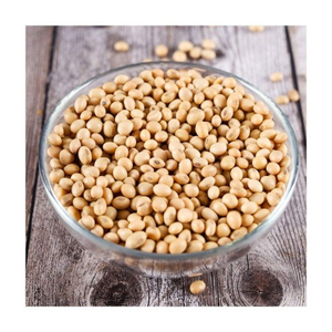 Fournisseur en gros de graines de soja de qualité alimentaire naturelle pour les importateurs internationaux - Product Image 6