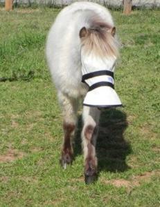 Máscara de Protección Facial Completa para Caballos con 90% de Protección UV, Cubre Orejas y Nariz, Ligera, de Malla de Poliéster, Protección Solar, Minarat OEM/ODM al por Mayor - Product Image 3