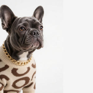 Sweater katun Teddy nyaman, pakaian hewan peliharaan Hoodie motif dinosaurus, Sweater olahraga hangat musim gugur musim dingin untuk anjing besar XL XXL - Product Image 1