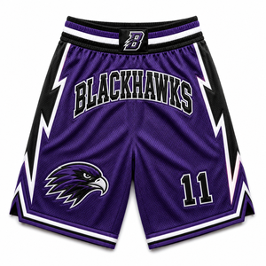 Falcons - Pantalones Cortos de Baloncesto Personalizados con Insignia de Pájaro Bordada, Malla de Secado Rápido, Uniforme para Clubes y Equipos, Proveedor Mayorista de Equipamiento Deportivo para Hombre - Product Image 1