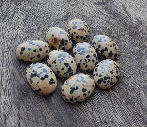 Cabujón de Jaspe Dálmata Natural, Piedra Preciosa Suelta |   Piedra Pulida de Forma Ovalada para la Fabricación de Joyas al por Mayor - Product Image 2