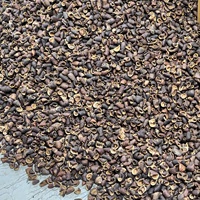 Capsules de graines végétales naturelles de haute qualité pour pot-pourri, arrangements floraux, décoration d'aquarium, etc. – Modèle Lafi Pods