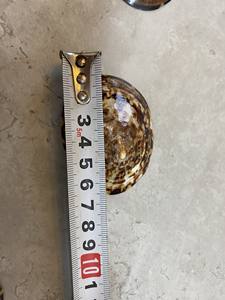 Venta al por mayor de conchas de Lapa para mujeres embarazadas que amamantan conchas de bebé hechas a mano al mejor precio-LOTO AZUL de Vietnam - Product Image 5