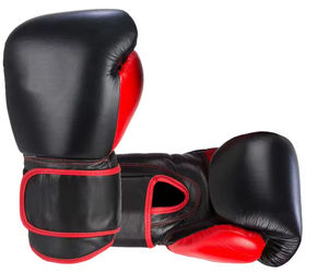 Training Gloves Sparring Boxing Bag Gloves for Martial Arts Personalized Customized Boxing Bag Gloves - Product Image 1