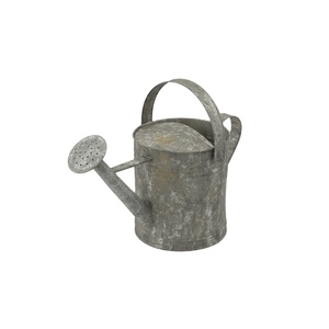 Arrosoir rustique pour la décoration de la maison et du jardin, accessoires de décoration, fournitures de ferme, arrosoir d'intérieur et d'extérieur - Product Image 1