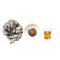 Boisson santé, extrait de champignon Maitake en poudre, 20% de bêta-glucane