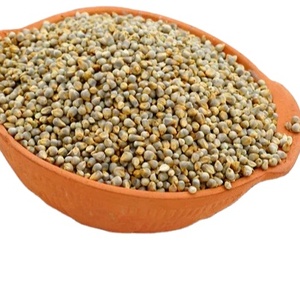 Meilleure qualité vente chaude en gros 100% millet vert pur et naturel pour l'alimentation animale - Product Image 1