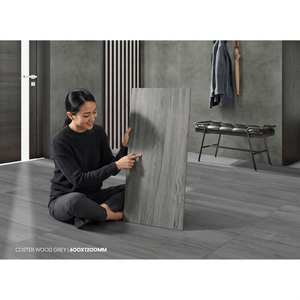 Carreaux de porcelaine Vistaar Beige Wood 60x120cm, céramique 600x1200mm, antidérapants, vitrifiés, texture indienne. - Product Image 5