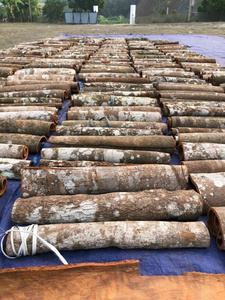 High Quality 100% Natural Raw Cassia <b>Cinnamon</b> Sticks Dried Roll Style 99 GD 1kg Vietnam - Product Image 3