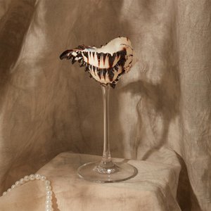 Verres à vin et à eau en verre avec coquillages marins naturels, prix de gros abordable - Product Image 4