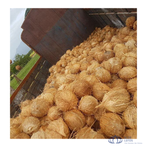 มะพร้าวสดเกรดพรีเมียมแบบกึ่งปอกเปลือก สีน้ำตาลอ่อน สำหรับอุตสาหกรรมอาหาร การปรุงอาหาร และการสกัดน้ำมัน บึงเต๋อ ขายดี - Product Image 1