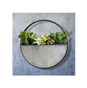 Macetero colgante de metal decorativo para interiores y exteriores, soporte para plantas de flores y suculentas, acabado en hierro galvanizado, duradero. - Product Image 2