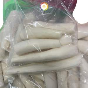 Yuca Congelada Premium Picada, 2 Años de Vida Útil, para Uso Alimentario, a Buen Precio, Directamente de Fábrica en Vietnam - Product Image 6