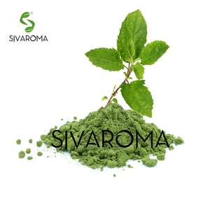 Poudre d'extrait sec de Tulsi de qualité supérieure, ingrédient pour les mélanges de tisanes, les compléments alimentaires et le développement de produits naturels - Product Image 1