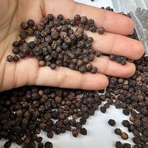 Granos de Pimienta Negra Vietnamita Secos, Proceso AD, Crudos - Mejor Precio Hoy - Product Image 2