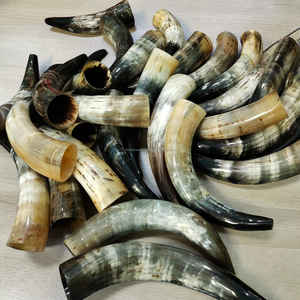 Shofar artesanal premium de cuerno de toro auténtico, instrumento de estilo clásico a precio económico. - Product Image 5