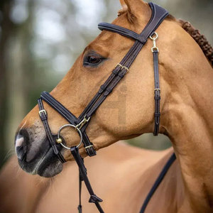 Bridas para Caballo de Cuero de Calidad Exclusiva y Ligeras con Cabezal Moldeado Ligeramente Curvado de Alexandria Industries - Product Image 5