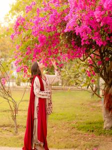 Embroidered Indian Pakistani Set Women Long <b>Top</b> Palazzo Dupatta Georgette Style Formal Wear Customizable - Product Image 5
