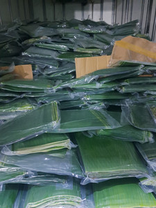 Hojas de Plátano Frescas de Vietnam, Empaquetadas en Bolsa, para Envolver Alimentos, Asar al Horno, Calidad Premium, Grado A, 1 kg, Mejor Precio - Product Image 4
