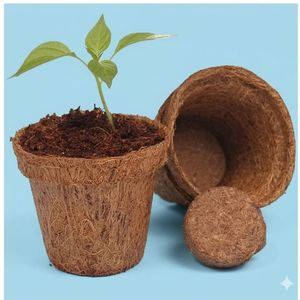 กระถางมะพร้าวยั่มนา (Coco Pots) กระถางปลูกต้นไม้ย่อยสลายได้ ขนาด 4 นิ้ว อายุการเก็บรักษา 2 ปี สำหรับทำสวน - Product Image 5