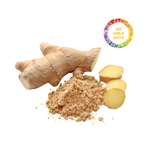 Elegante jengibre seco de fábrica vietnamita para cocinas de lujo y ingredientes de especias naturales a base de plantas, los más vendidos. - Product Image 5