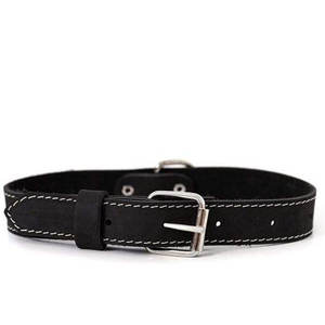Collier et laisse classiques pour chien, construction durable et texture douce, collier et laisse réglables avec ajustement sécurisé et port facile - Product Image 1