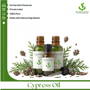 Proveedor de Aceite Esencial de Ciprés Fresco de Primera Calidad que Ofrece Opciones de Empaque Industrial y de Exportación para Cosméticos y Cuidado Personal - Product Image 1
