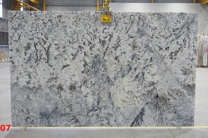 Granito clásico exótico blanco natural con acabado premium, pulido moderno para aeropuerto, estación de tren, hotel, villa, apartamento - Product Image 3