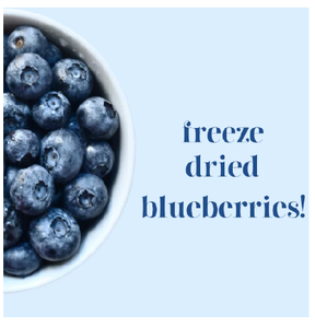 บลูเบอร์รี่ออร์แกนิคแบบฝานและแบบผง รสเปรี้ยว บรรจุภัณฑ์สุญญากาศแบบขายส่ง สำหรับสมูทตี้ เบเกอรี่ และซีเรียล - Product Image 3