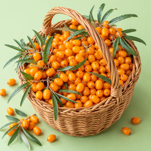 Adecuado para compradores comerciales, procesadores de alimentos y proveedores de frutas: Espino amarillo y bayas de naranja enteras con calidad consistente - Product Image 4