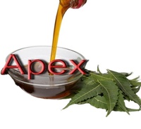 Pure en natuurlijke Neem olie in bulk, export van kruiden Neem olie, essentiële olie voor dagelijks gebruik uit India tegen groothandelsprijzen.