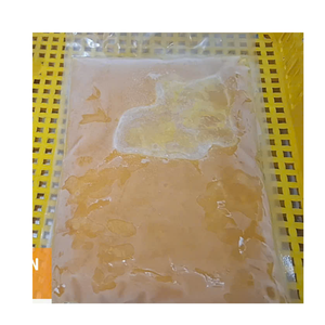 Suministro de Fábrica: Puré de Mango, Pulpa de Mango, Concentrado de Mango, Calidad Estable, Solución de Exportación a Granel - Product Image 2