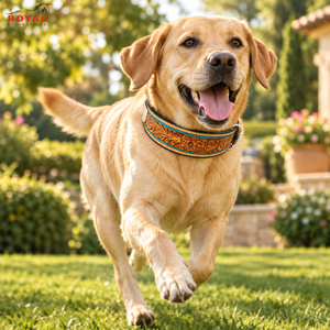 Collar de Perro de Cuero Repujado a Mano Estilo Western con Acentos Florales y Turquesa |   Collar Ajustable para Mascotas con Hebilla Metálica para Cuello Canino - Product Image 2