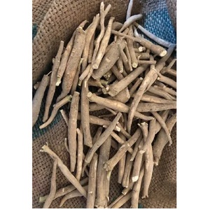 Extrait de racine d'Ashwagandha naturel biologique de haute qualité, fabriqué en Inde, directement du fabricant, NON OGM - Product Image 6