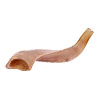 Shofar artisanal en corne de bélier pour la fête de Rosh Hashanah, shofar authentique en corne de bélier, corne de prière pour les fêtes juives par Curio Craft
